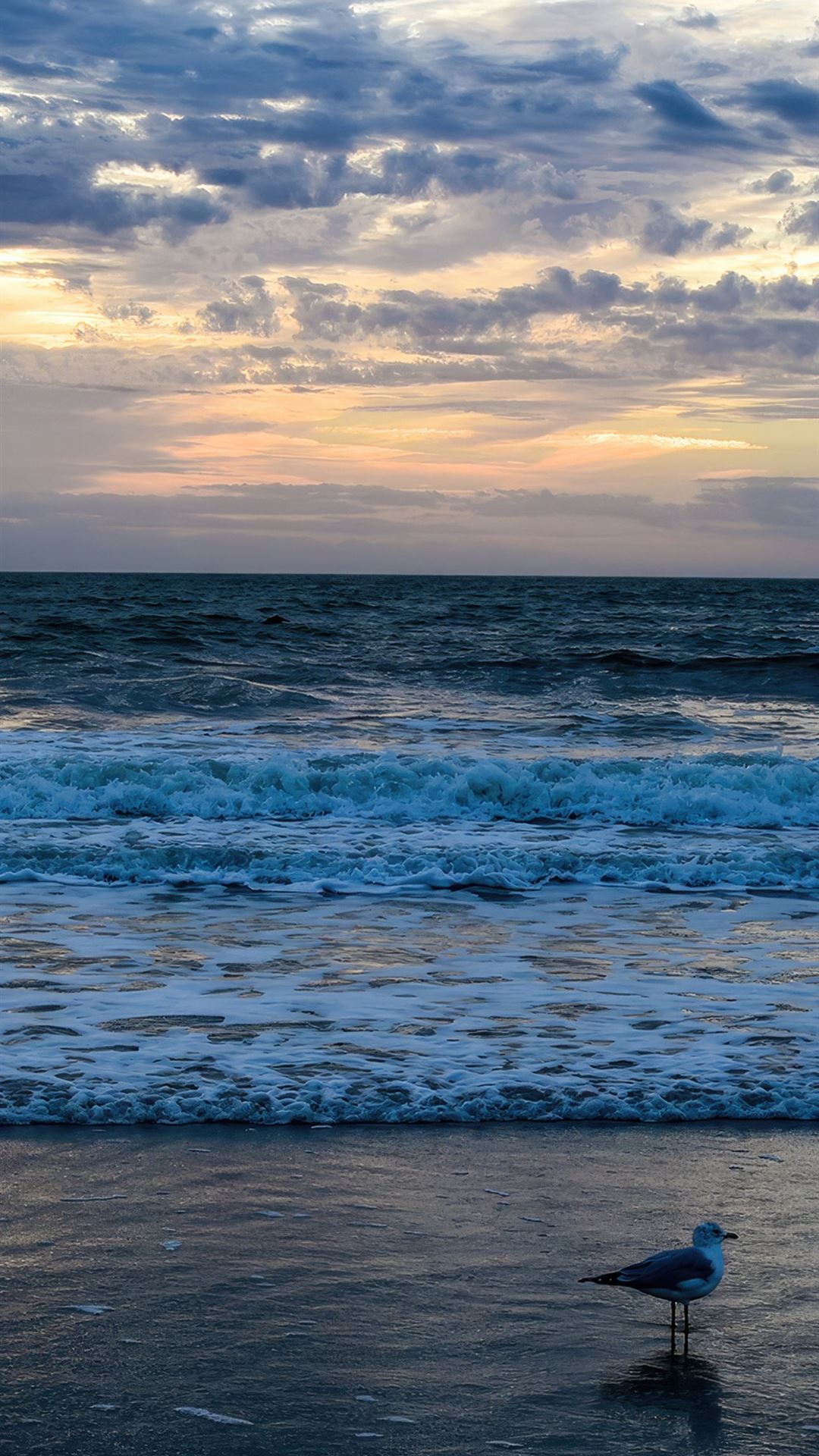 sunrise ocean 4k iPhone Wallpaper Free