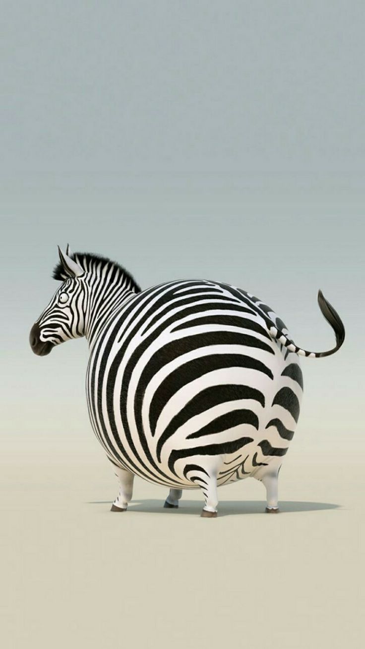 Chubby Animals Wallpapers - Wallpaper Cave, image size:736x1308