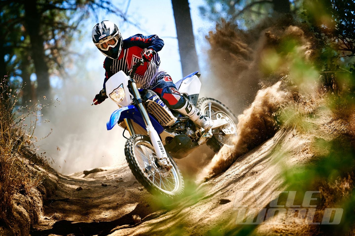 Yamaha WR250F- First Look