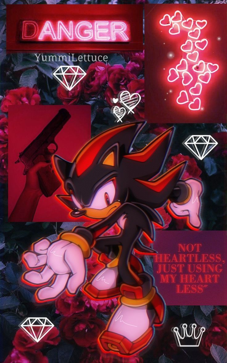 Shadow the hedgehog, Sonic and shadow