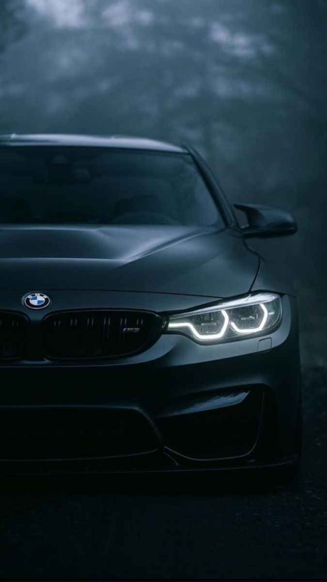 Black BMW Car with Foggy Trees