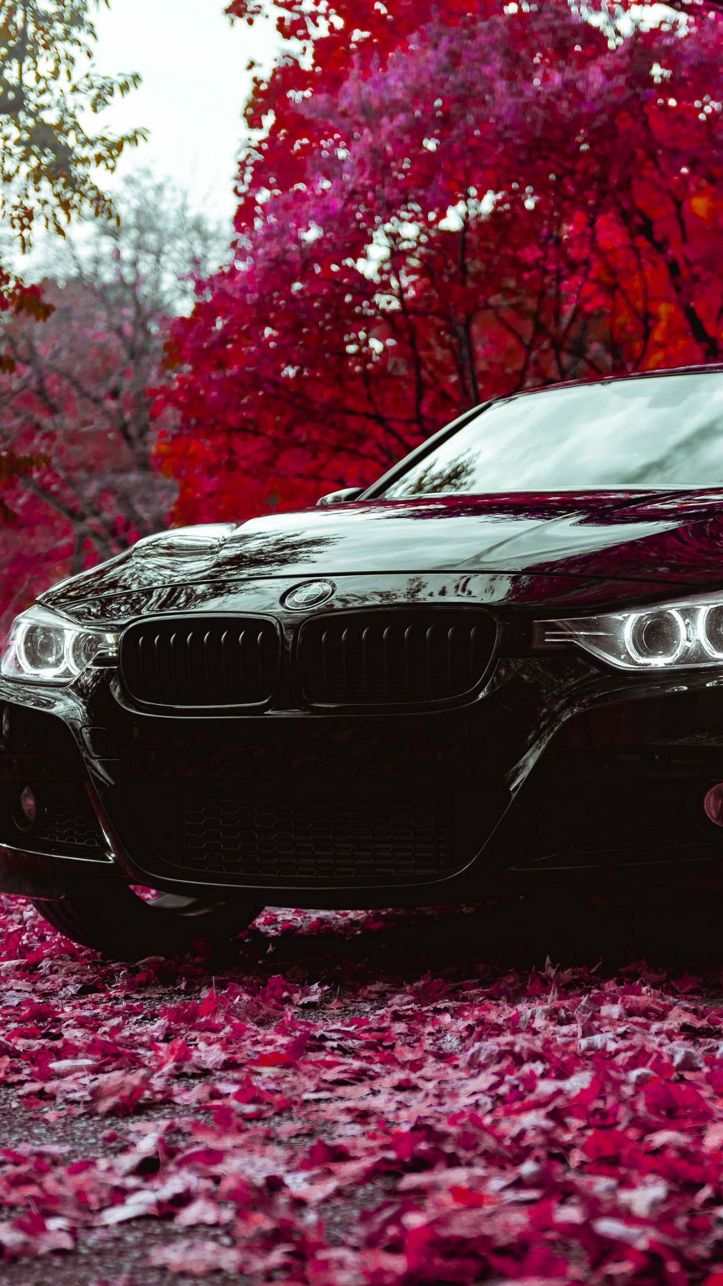 Download wallpaper 1440x2560 bmw f30