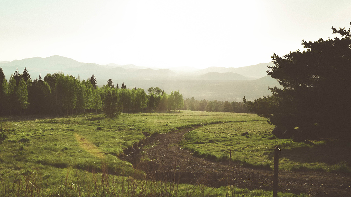 Land Green Nature Forest Road Peace