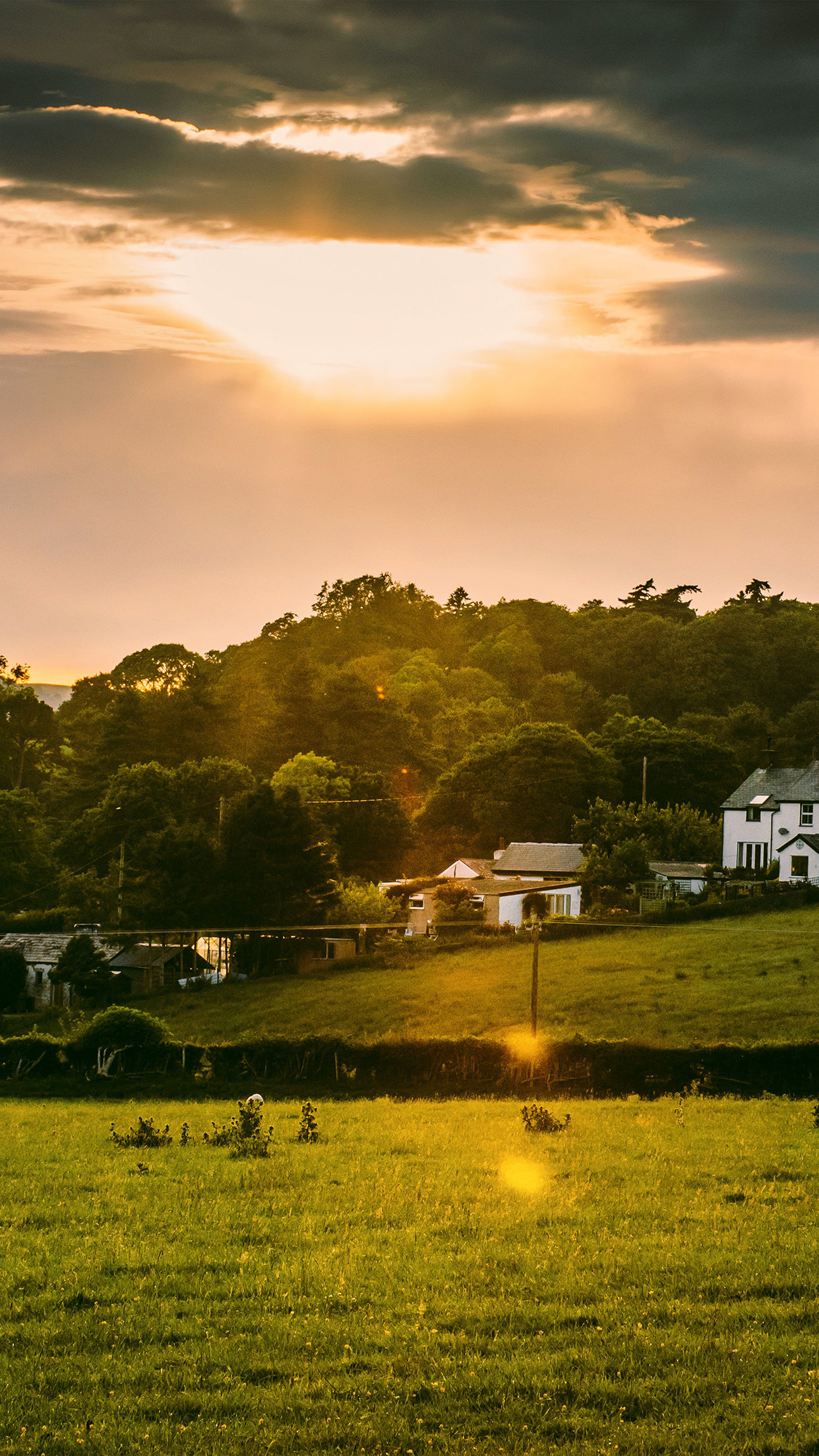 Peace Town House Nature