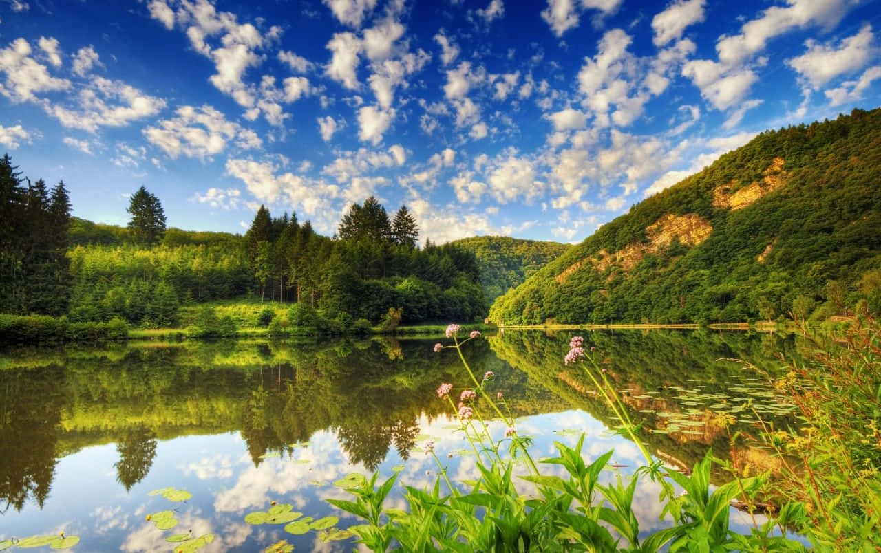 nature at this tranquil lake. Wallpaper