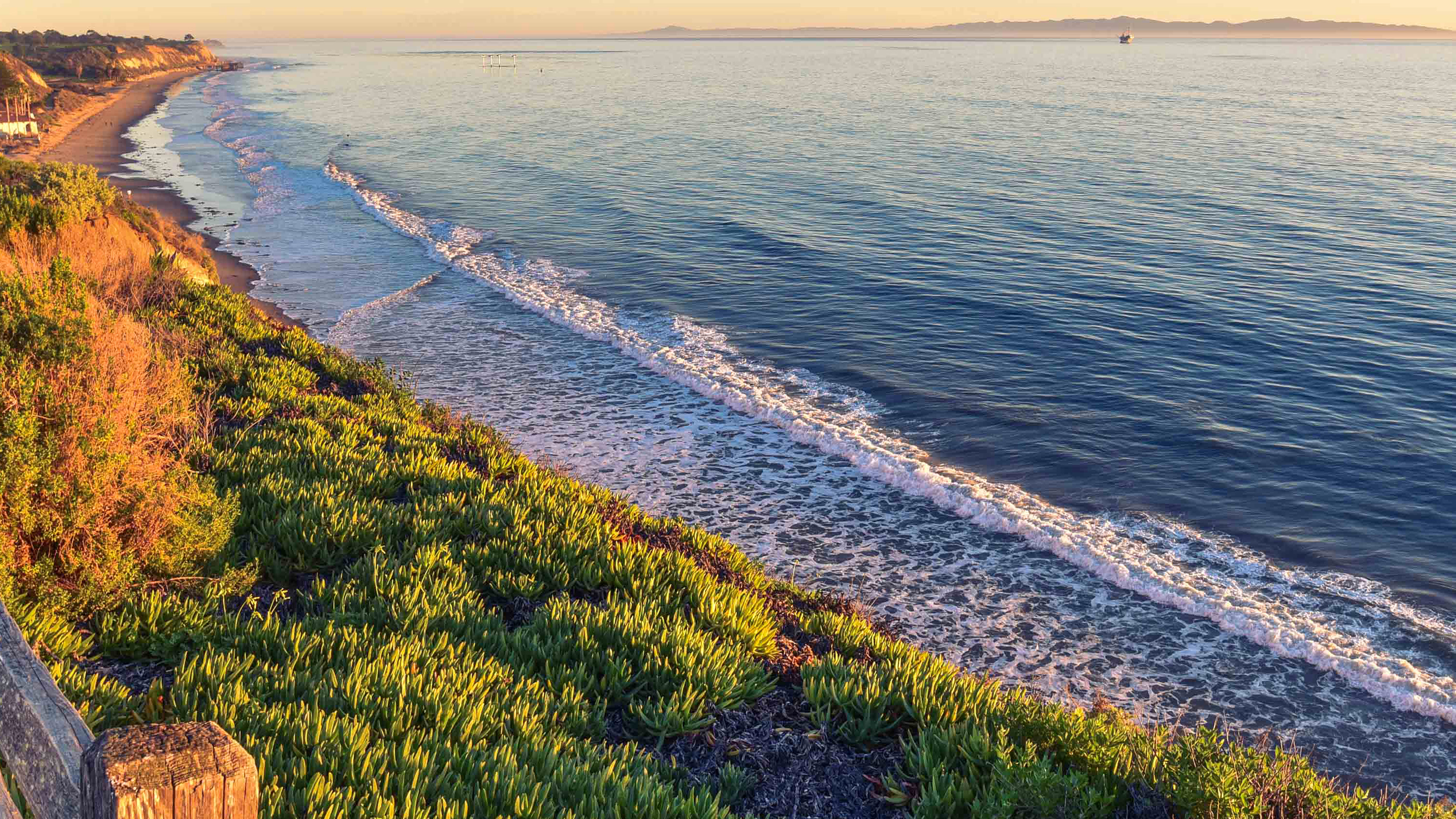 Peace Nature Wood Sea Ocean Nature