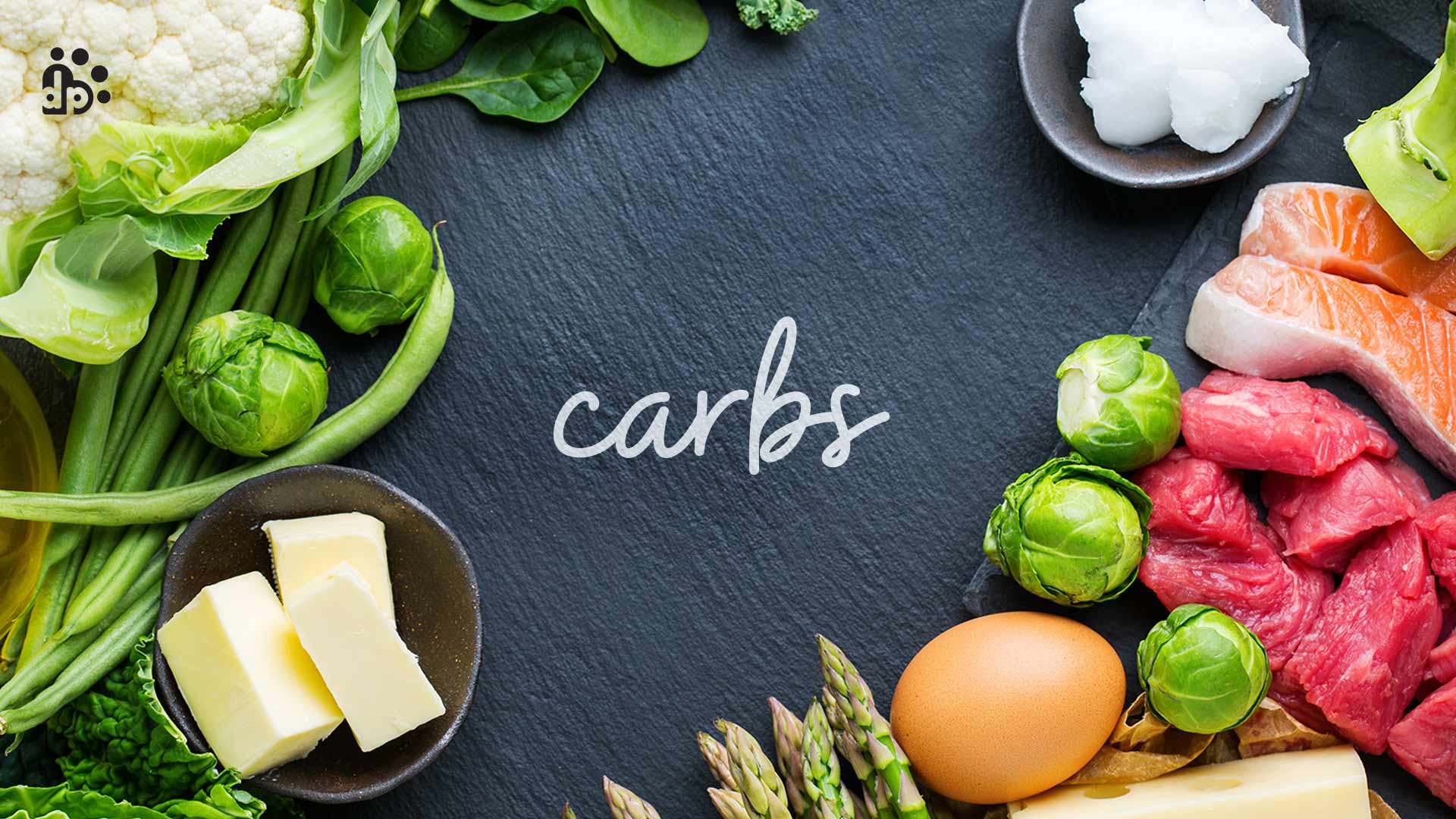 Carbohydrates for Dogs