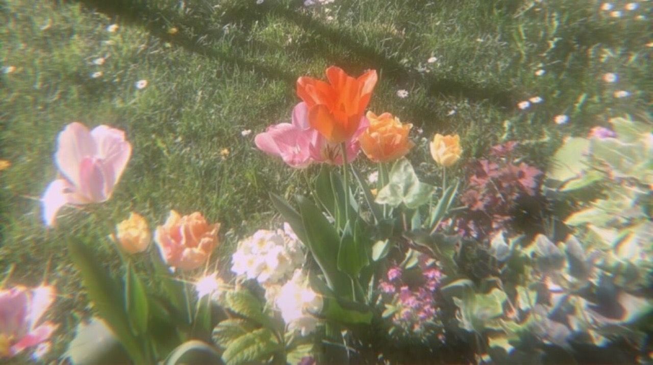 Fairycore wallpaper, Cottagecore