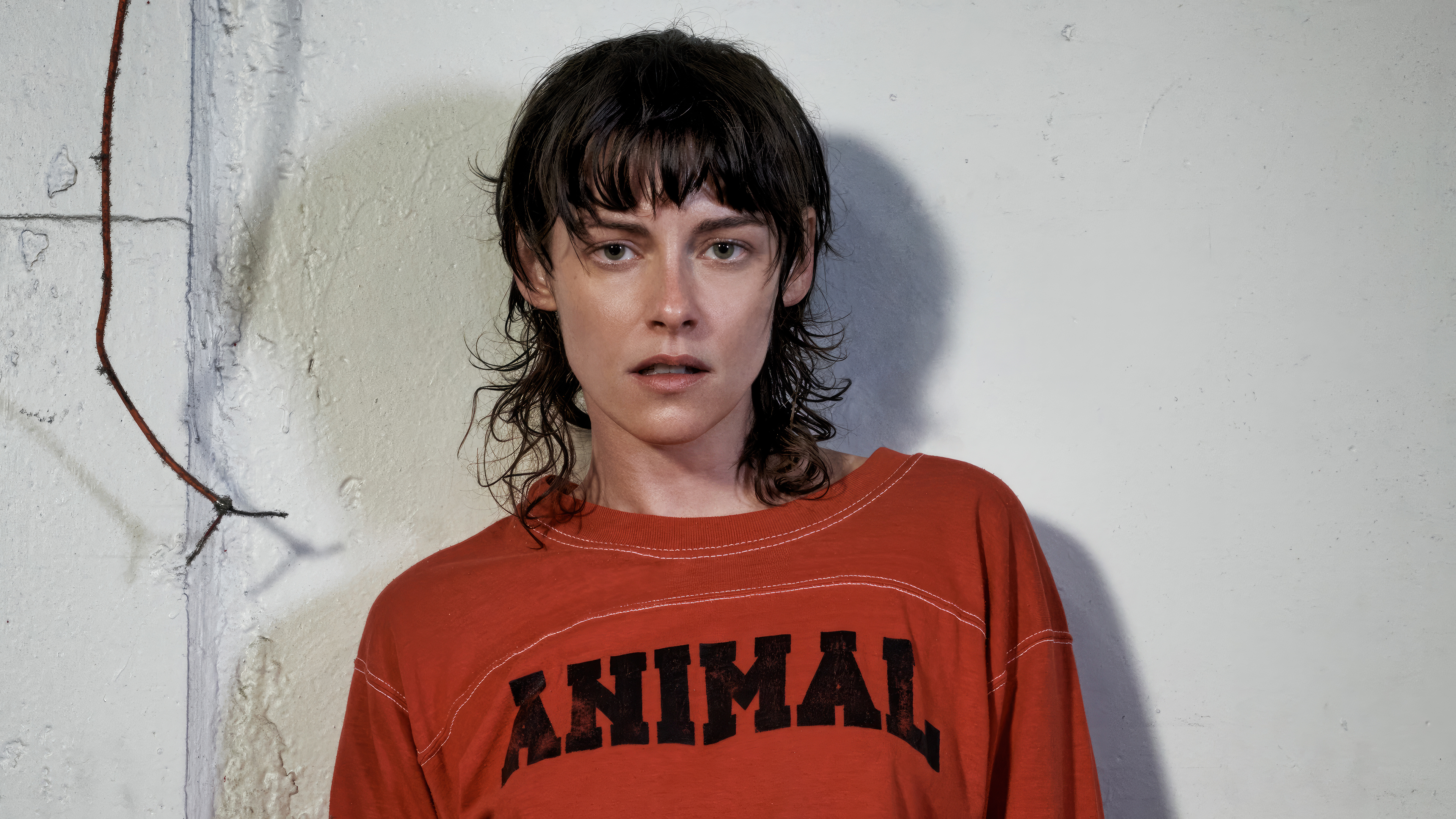 Celebrities Wallpaper, 4k Wallpaper