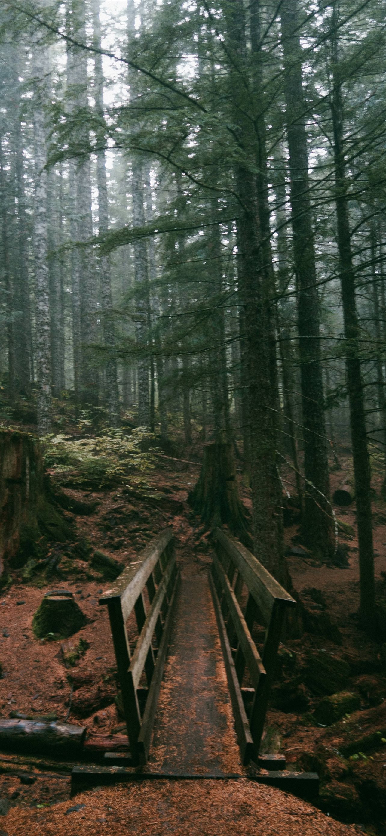 Best Oregon iPhone HD Wallpaper