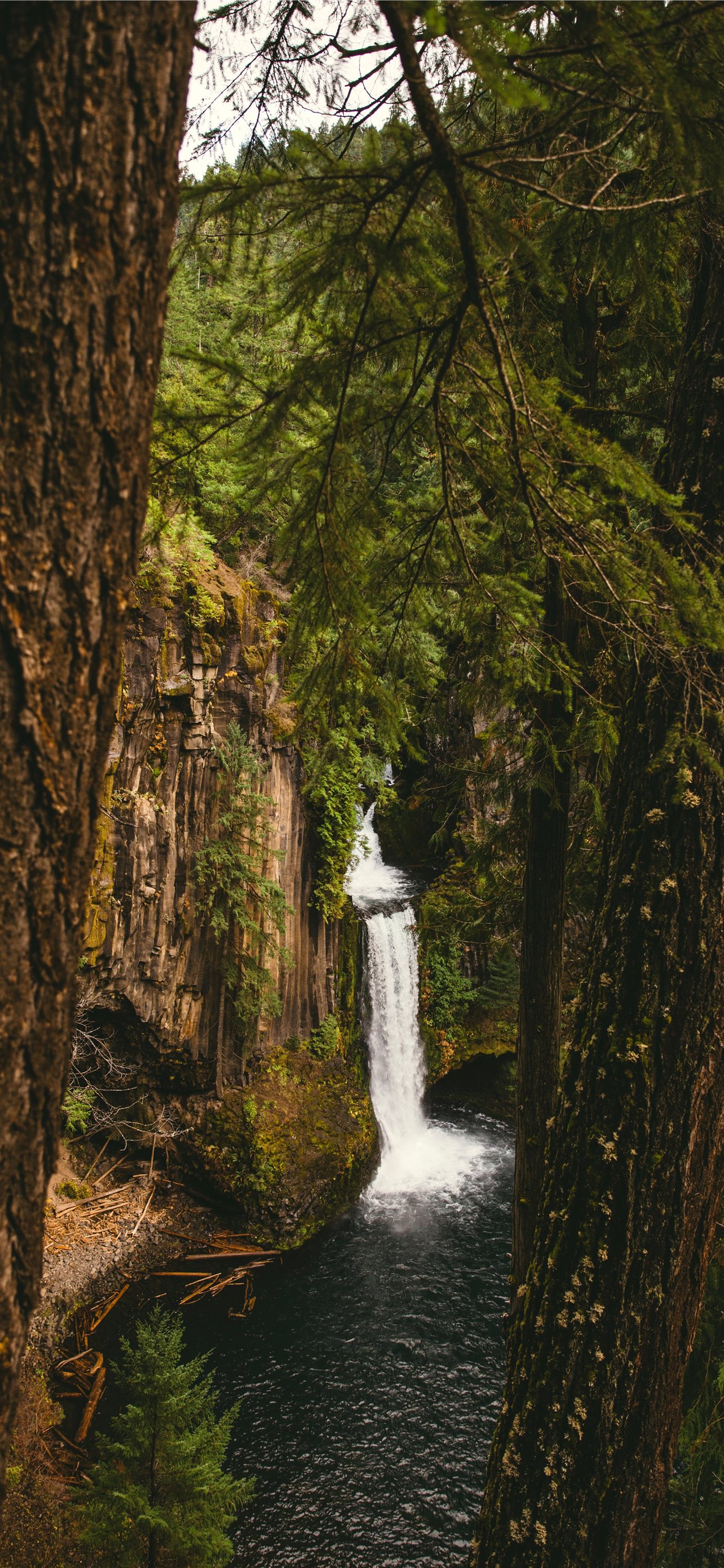 Oregon iPhone Wallpapers - Wallpaper Cave