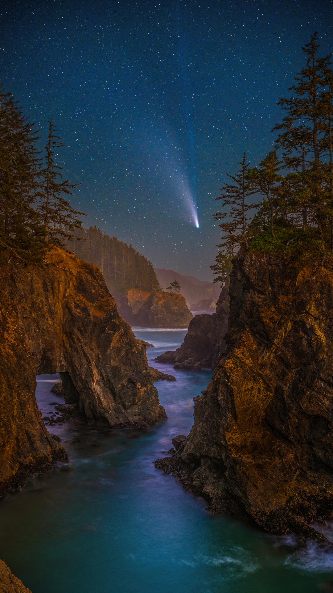 Coast Stars Scenery Oregon Night Trees
