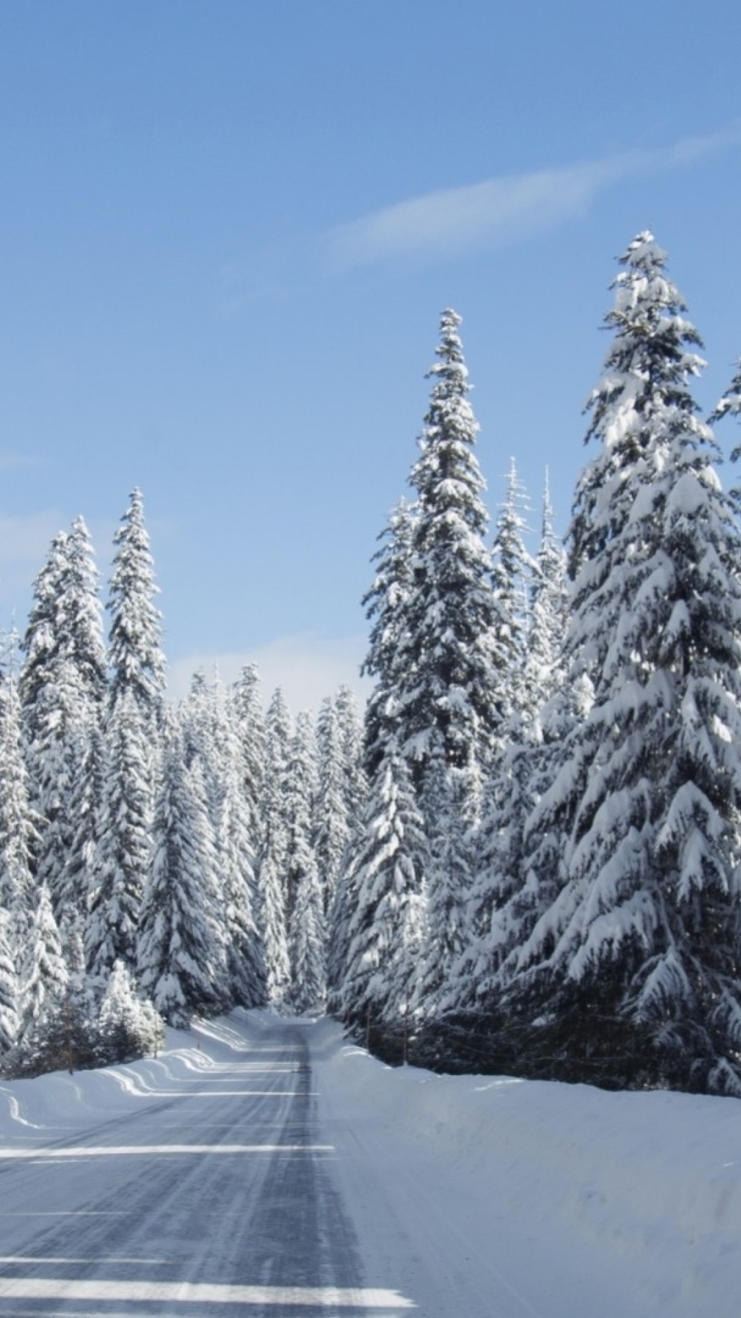 Oregon HD Wallpaper iPhone 6 / 6S Plus