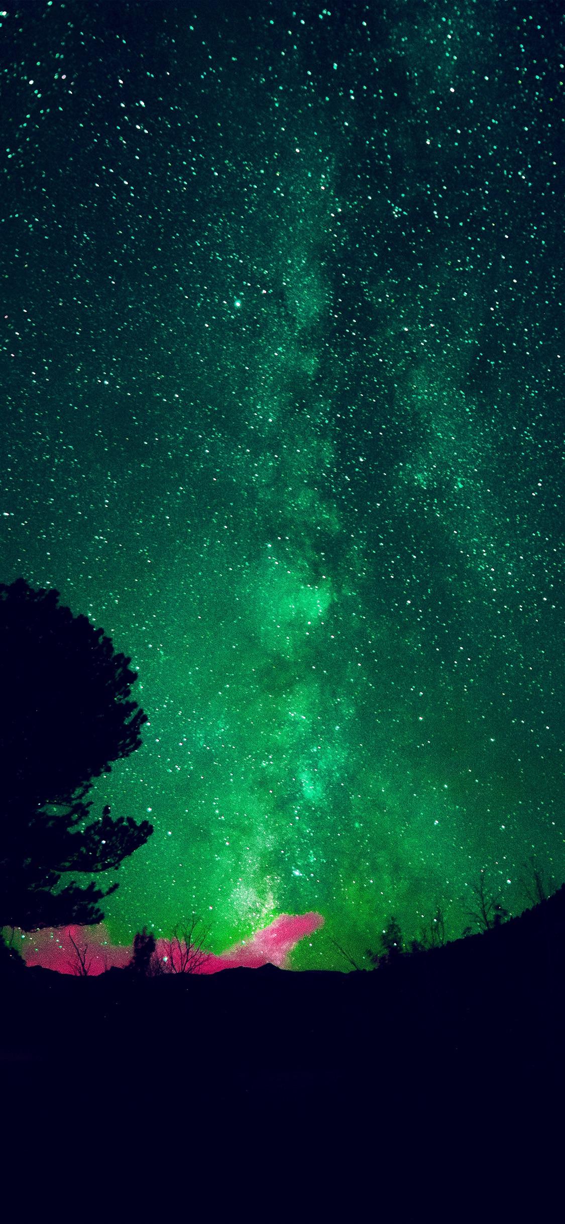 Sharing my wallpaper iPhone 15 Pro