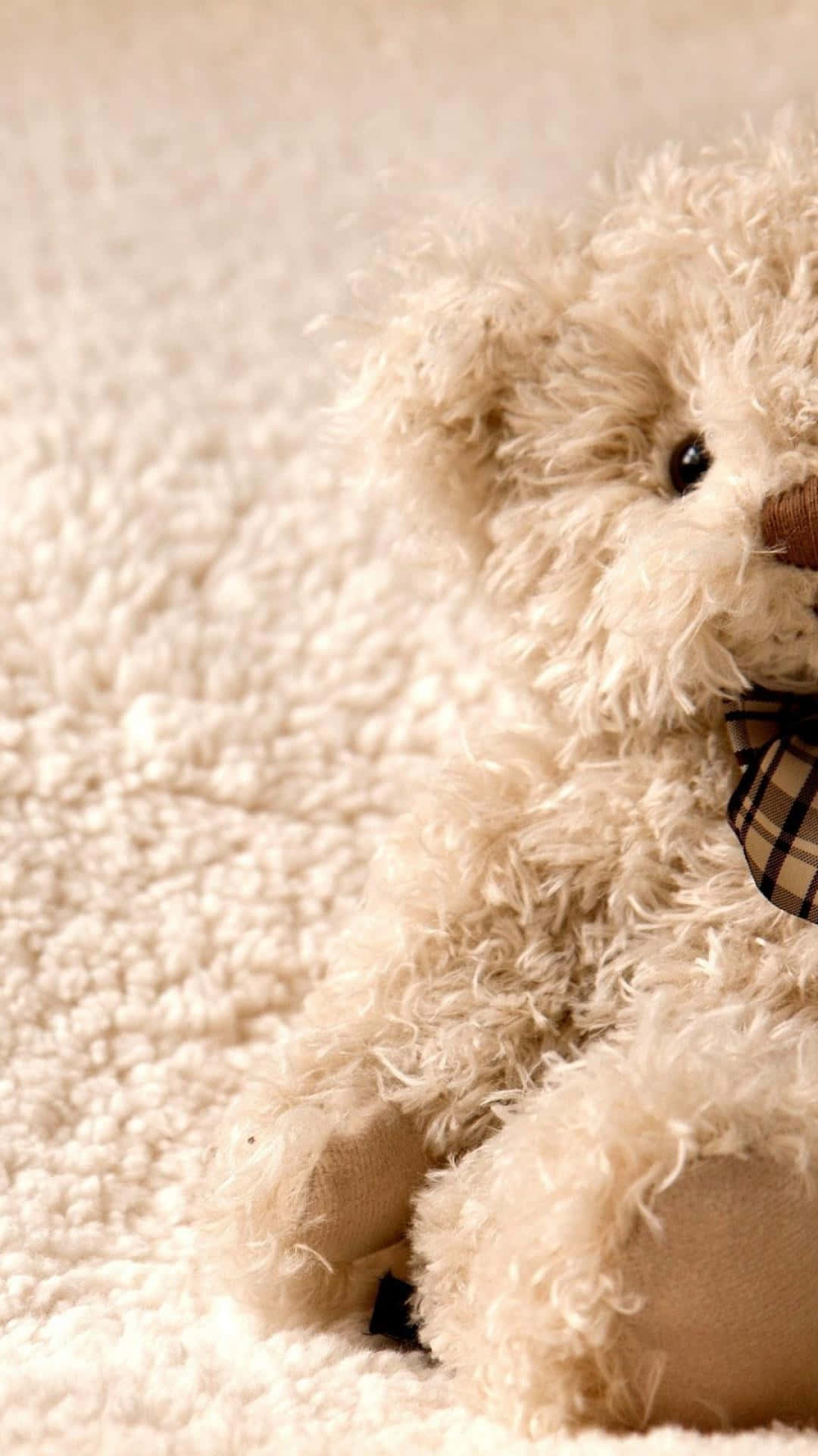 Teddy Bear Sitting On A White Carpet