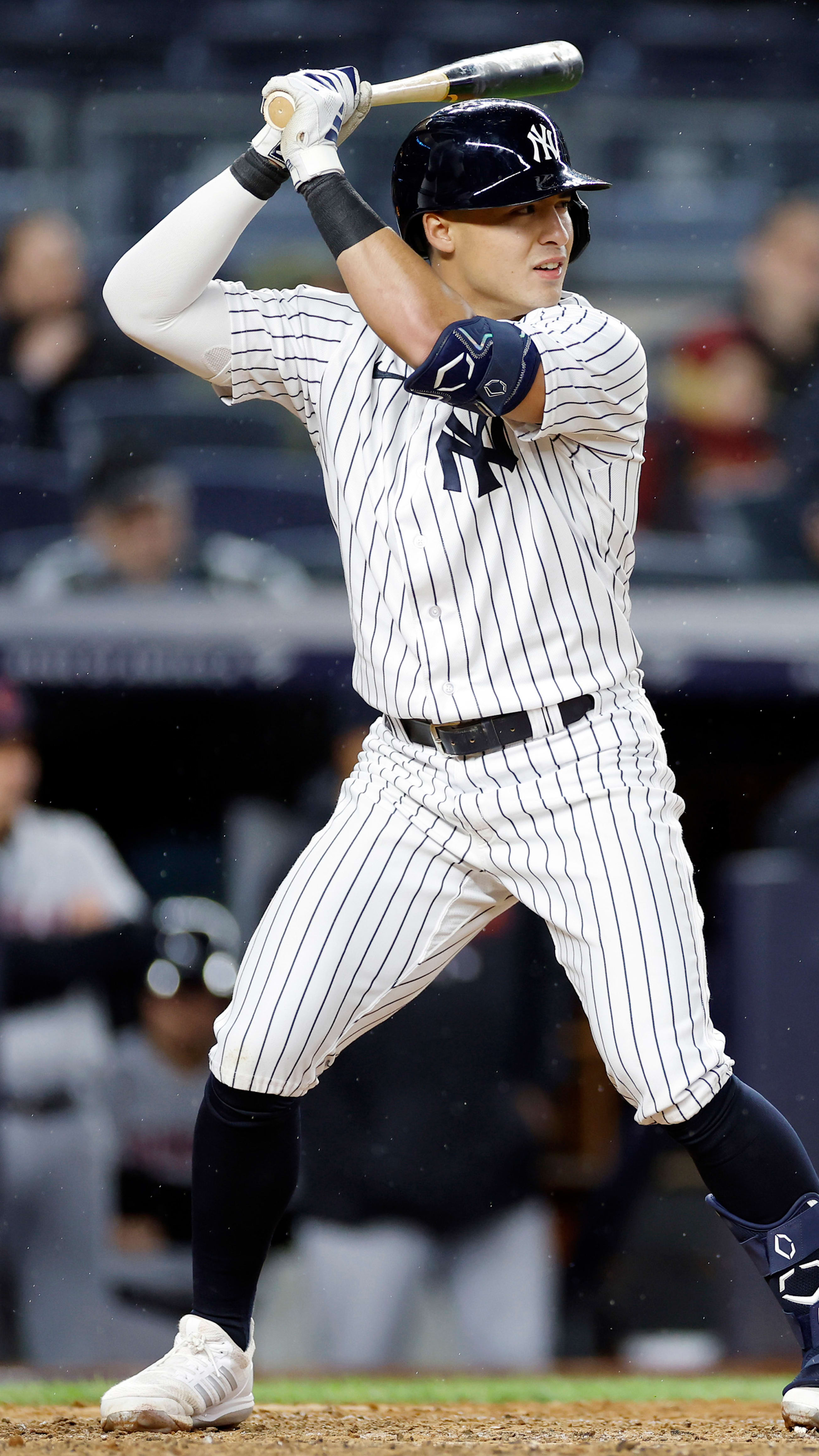 Anthony Volpe Player Stories