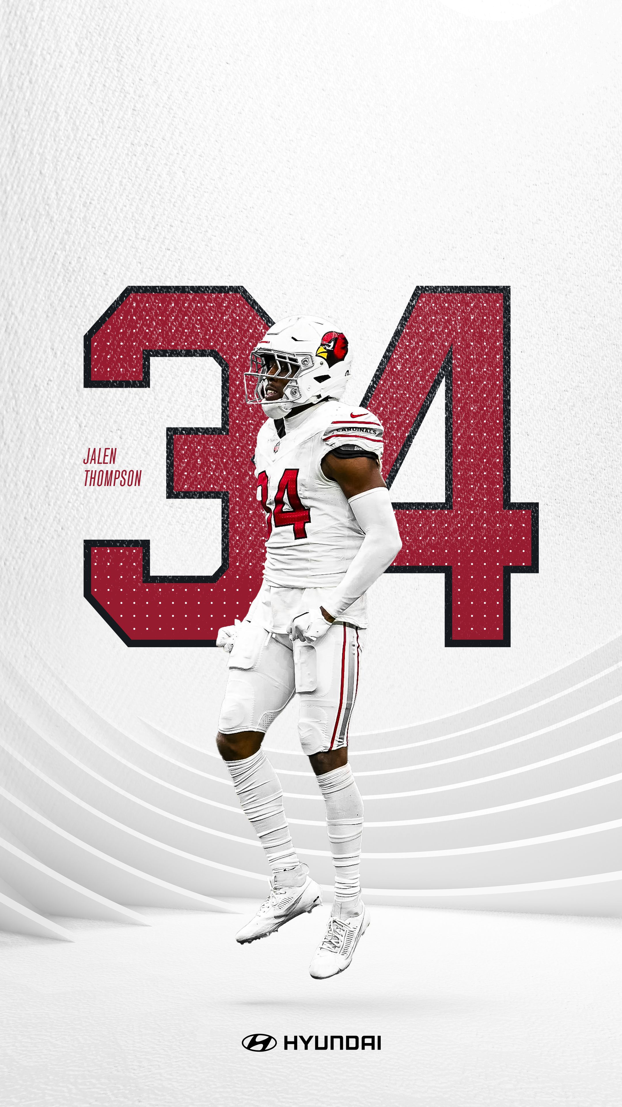 Arizona Cardinals Photo