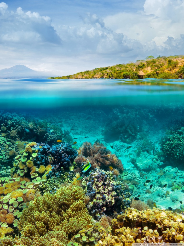 Ultra HD Desktop Background Wallpaper