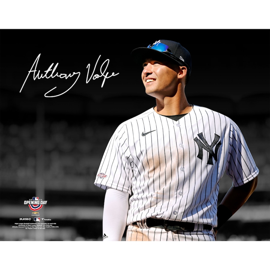 Anthony Volpe New York Yankees