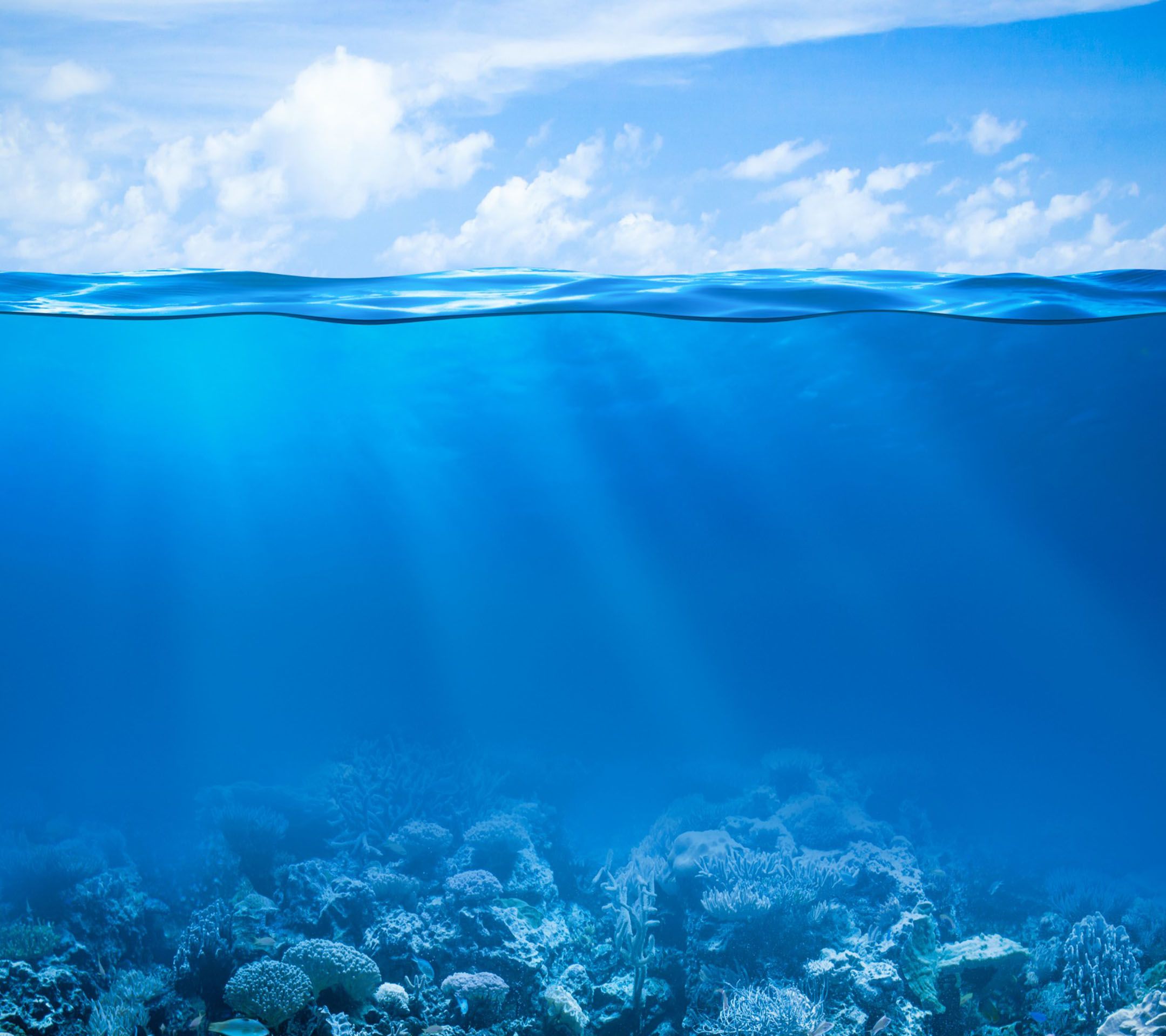 My phone wallpaper. Water photography