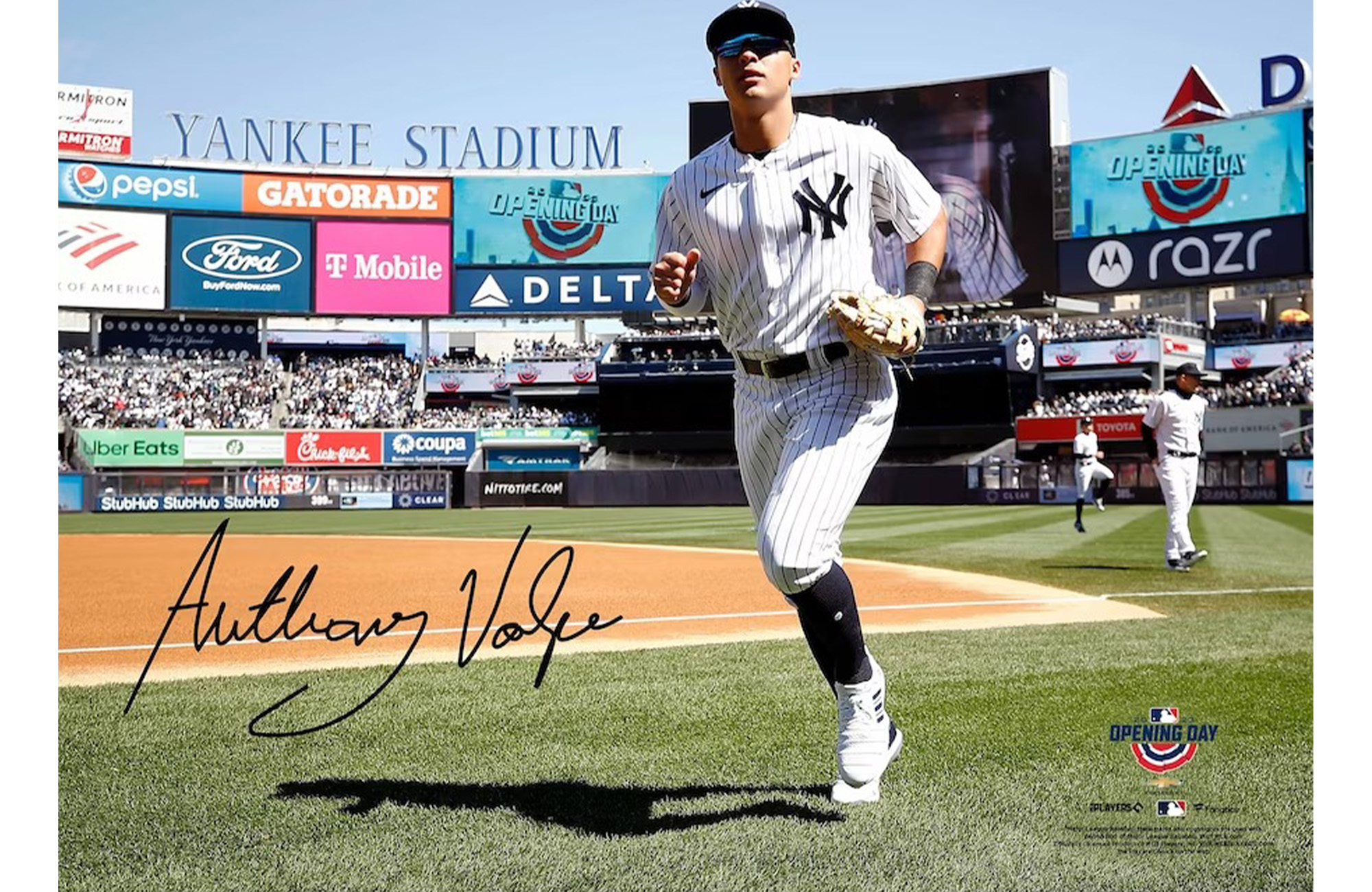 Anthony Volpe jerseys and Yankees merch