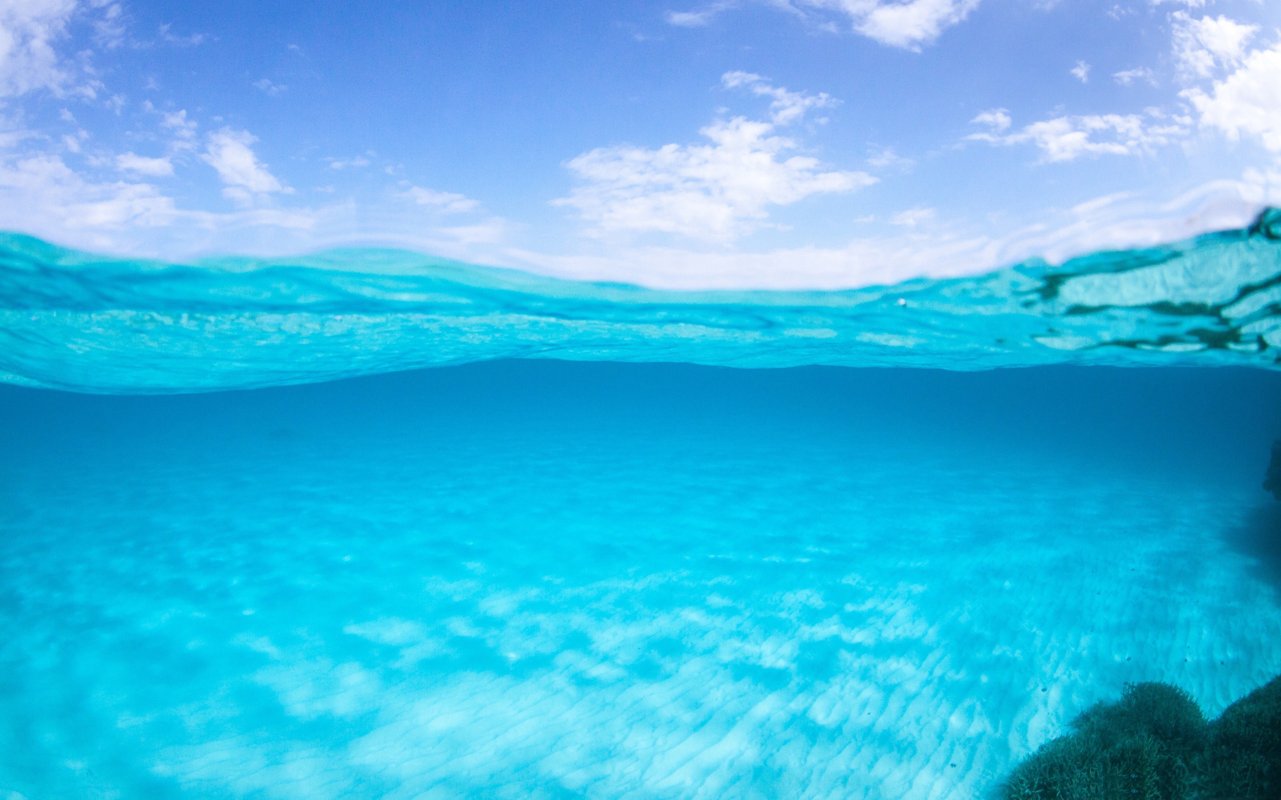 Half Underwater Ocean Scenery HD