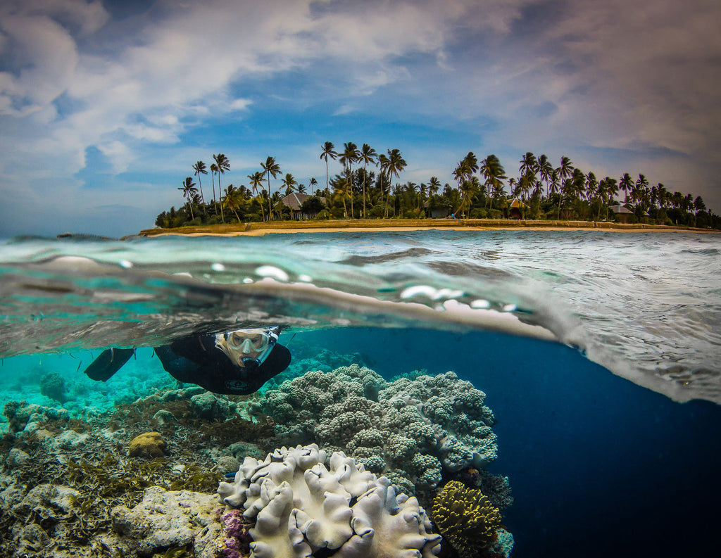 How To Shoot Split Shots Half In, Half