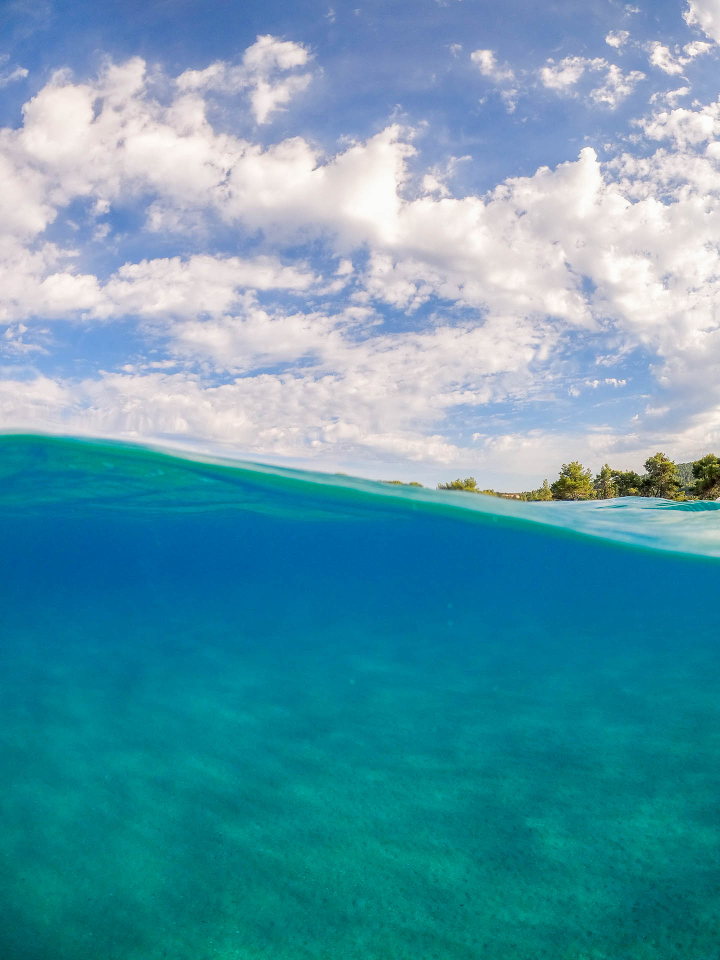 How to Shoot Half Underwater Photo