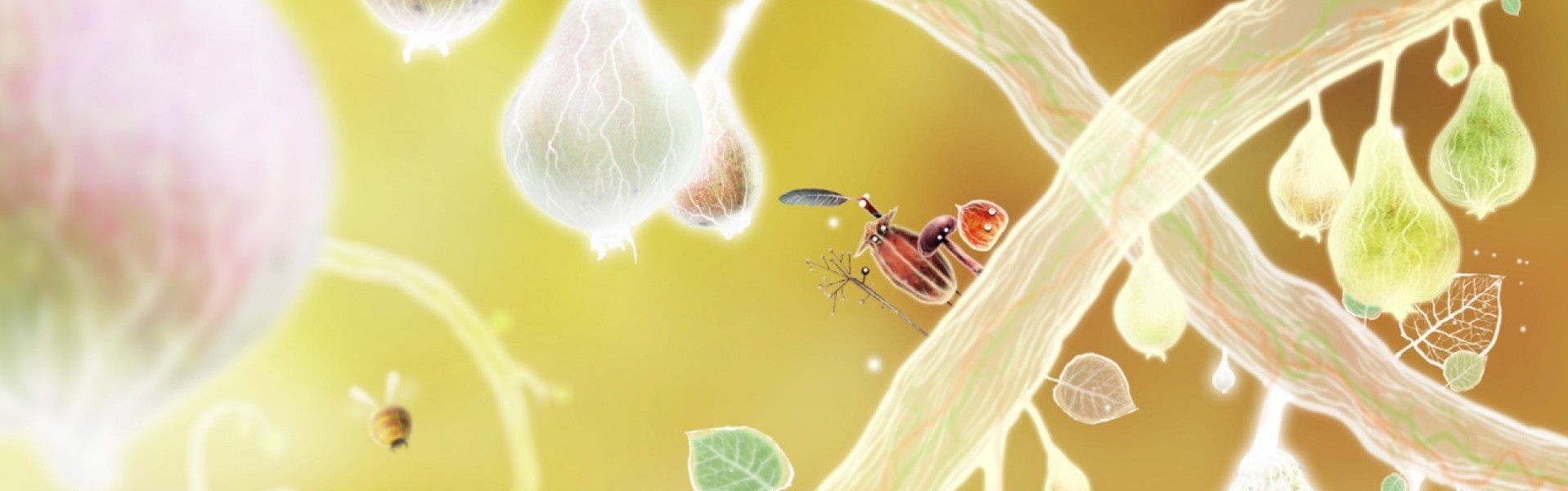 Buy Botanicula Collector's Edition PC