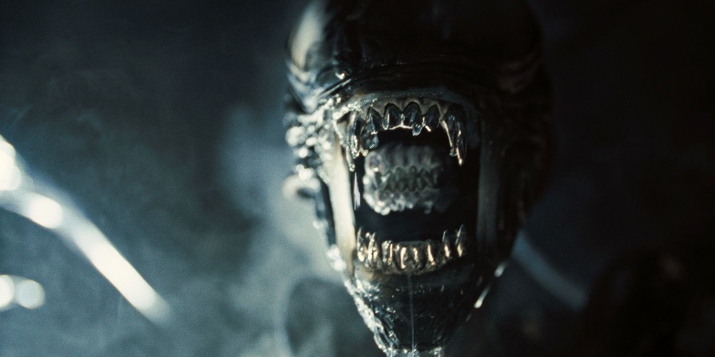 New 'Alien: Romulus' Image Bring
