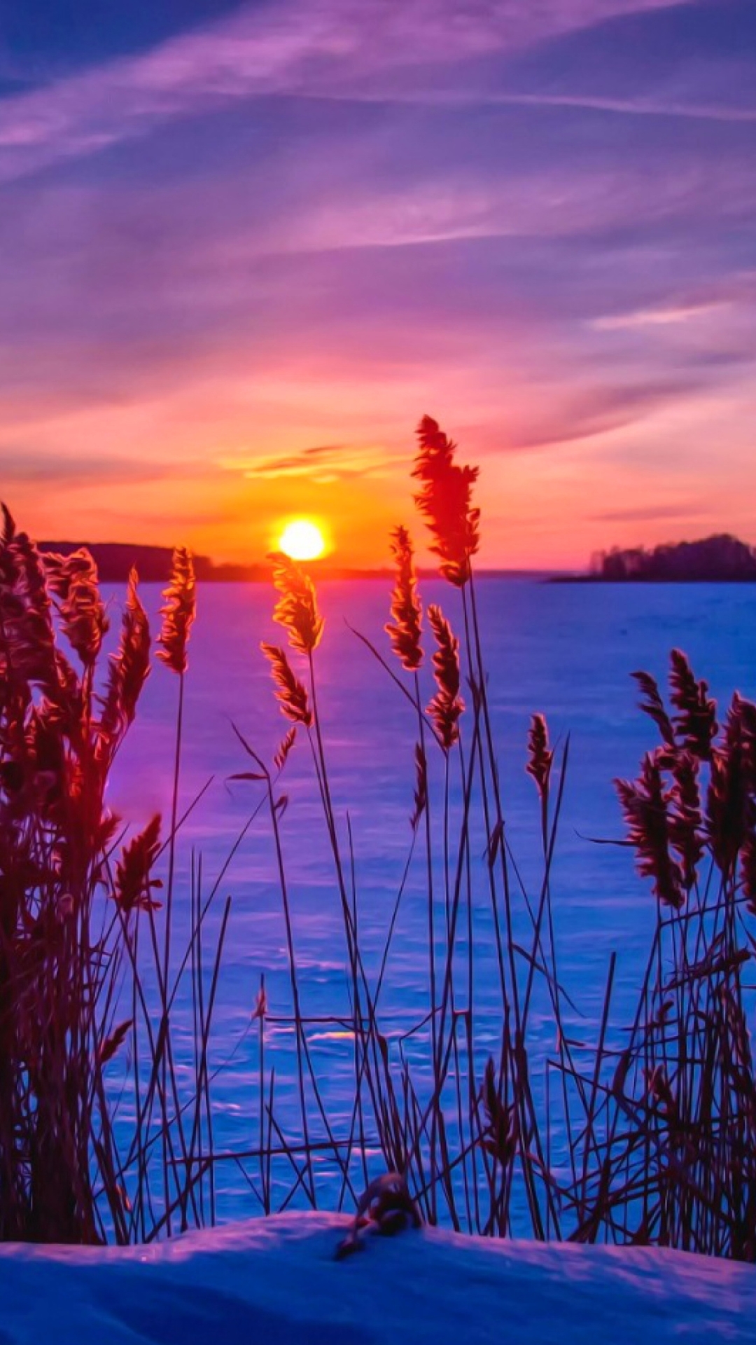 Winter Sunset