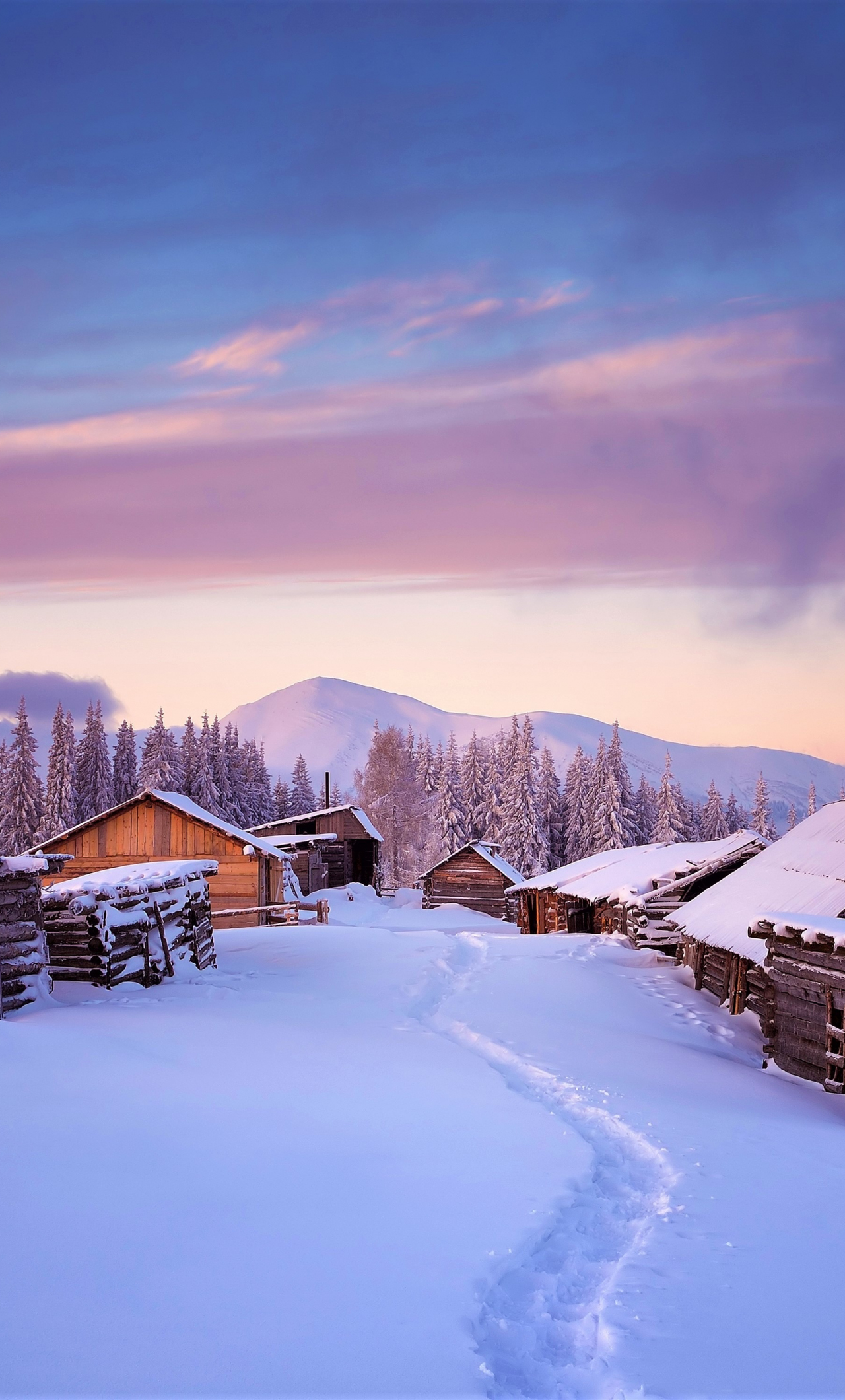 Download wallpaper 1280x2120 houses