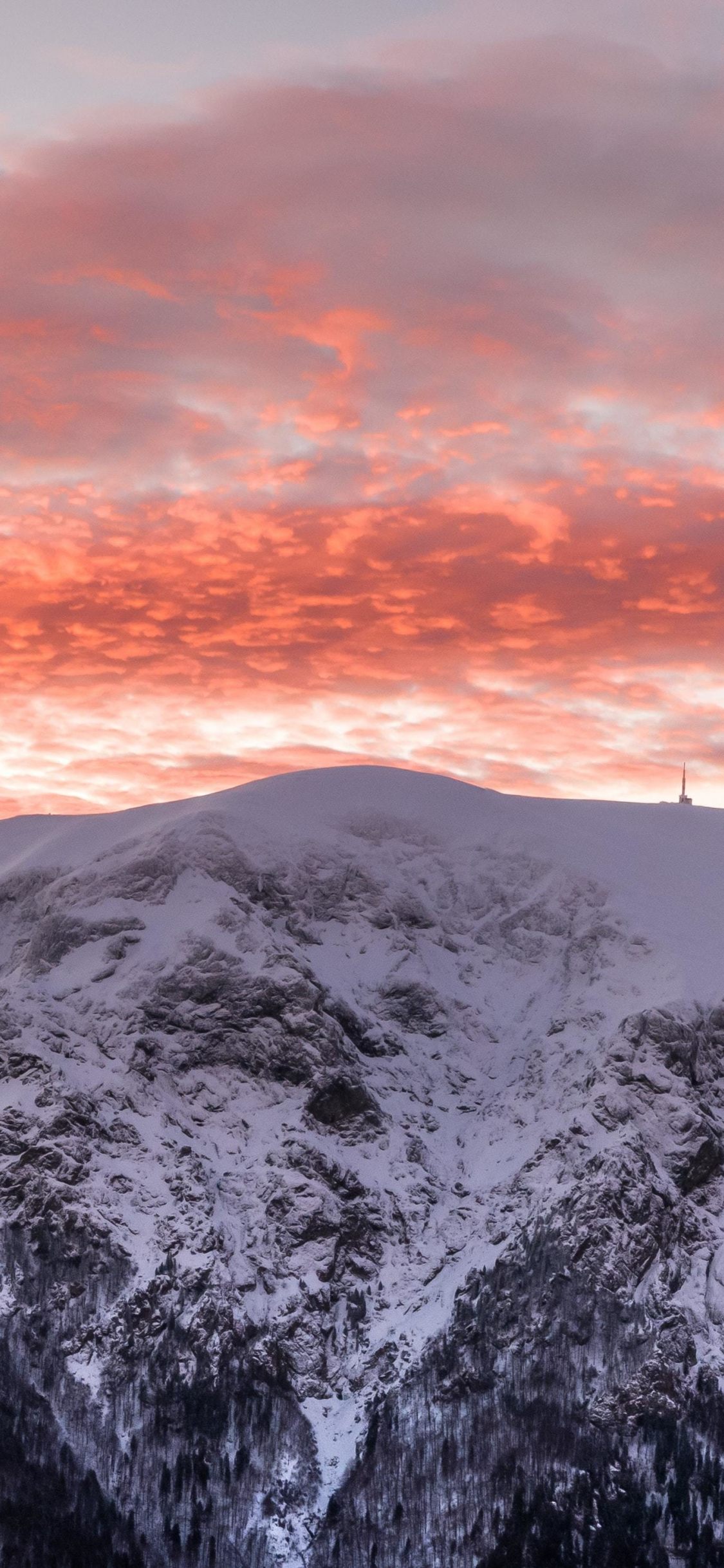 Download wallpaper 1125x2436 winter