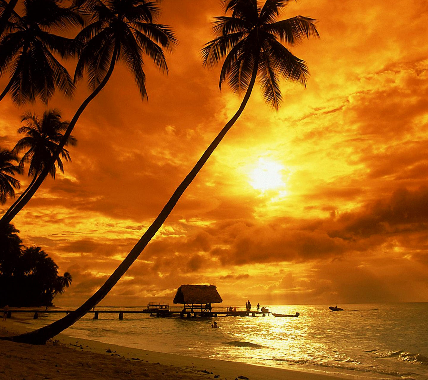 Tropical sunset wallpaper