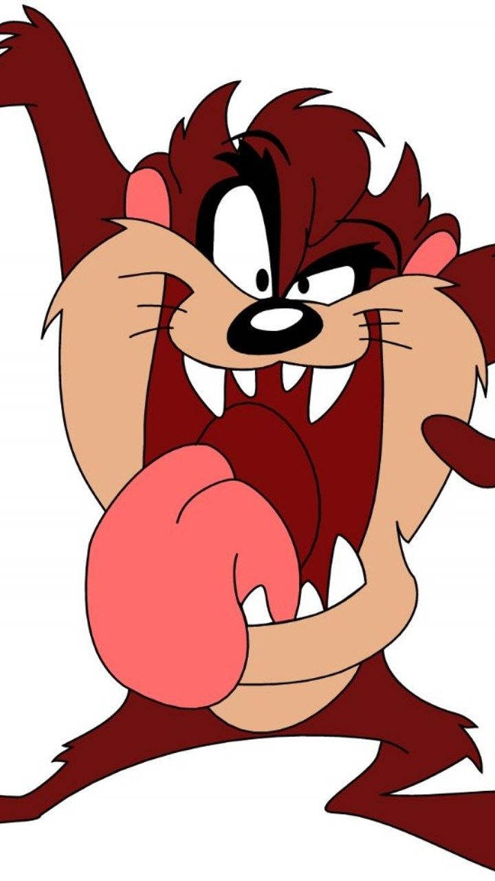 Looney Tunes Tasmanian Devil Wallpaper