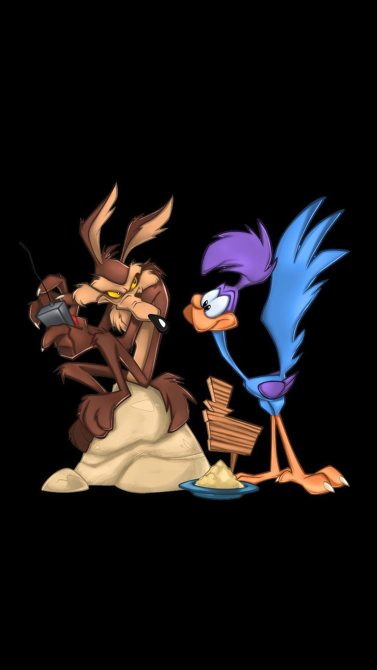 Looney Tunes Wile E Coyote