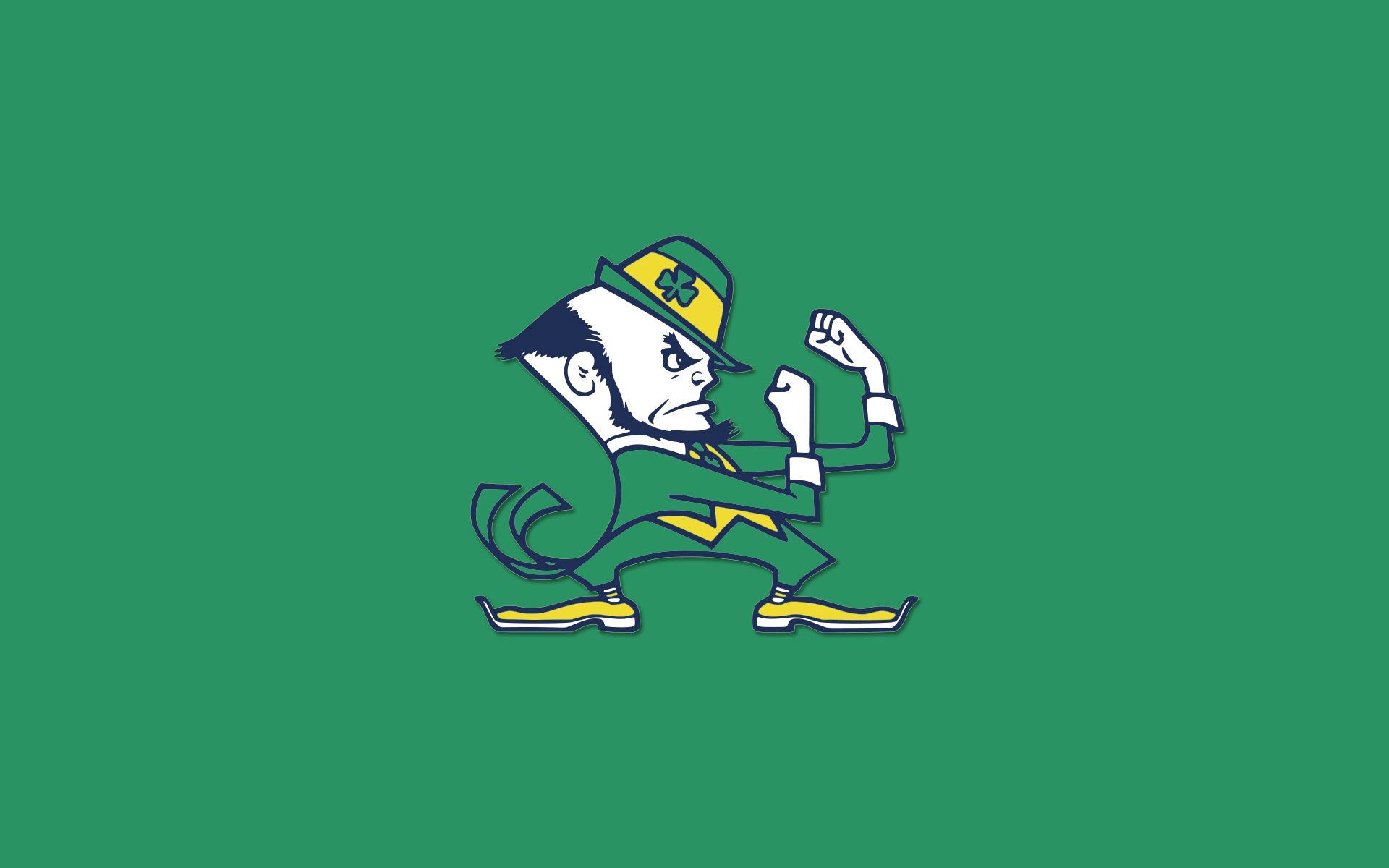 Notre Dame Fighting Irish, University