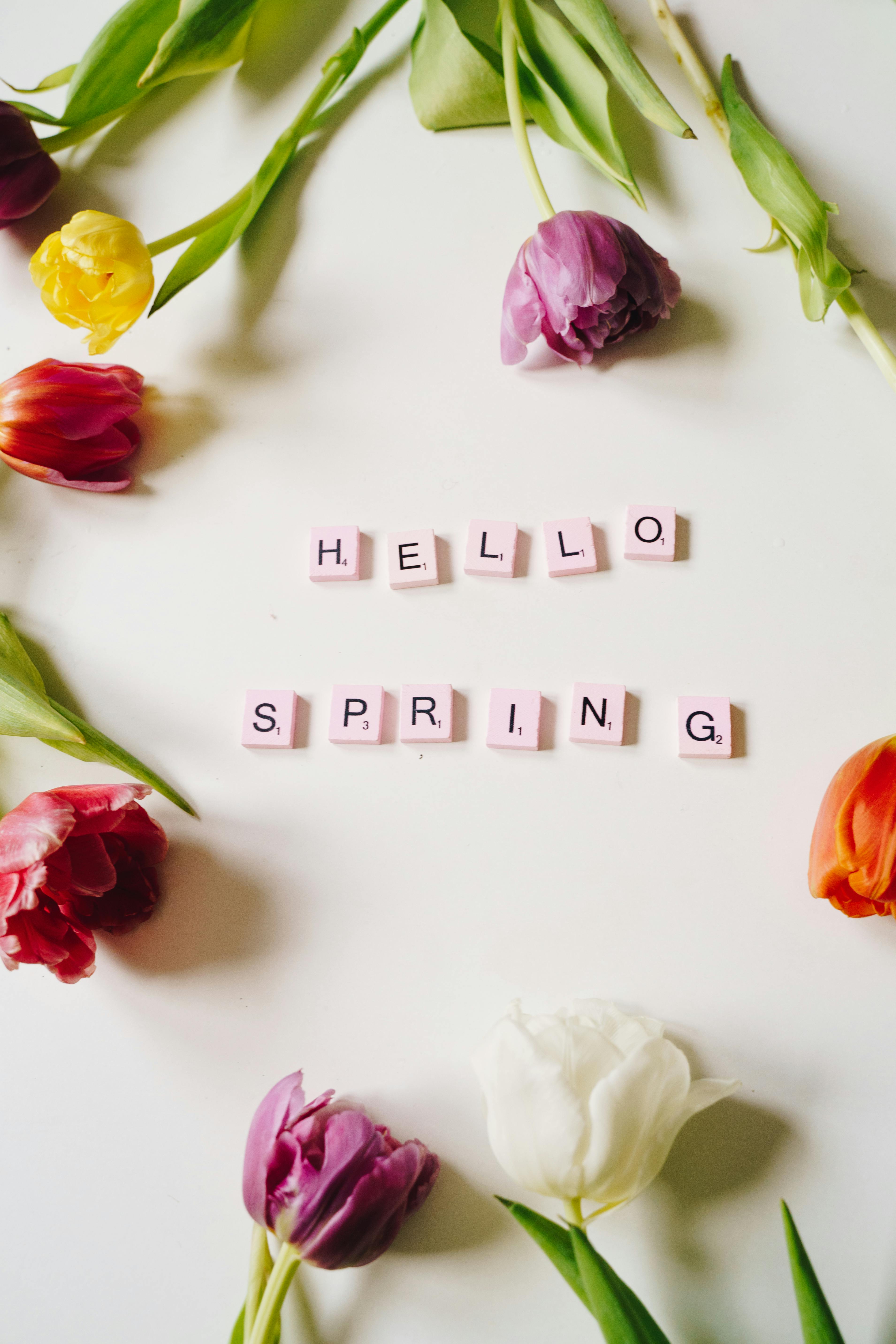 Hello Spring Text with Flowers · Free