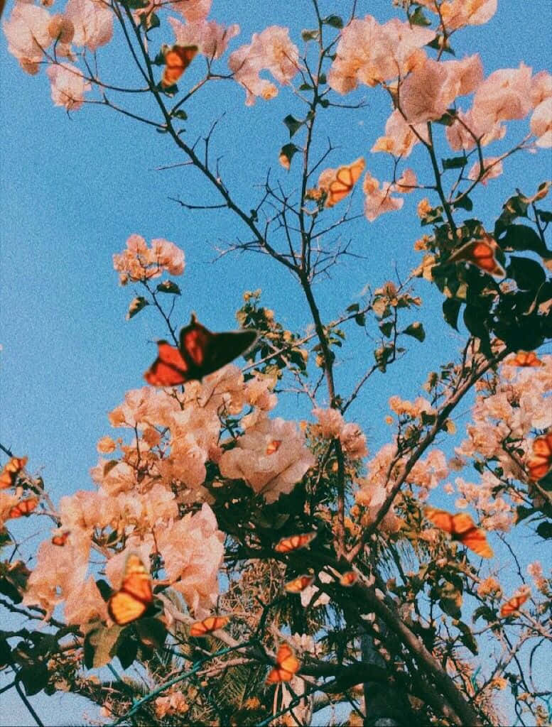 Cute Aesthetic Flower HD Wallpaper