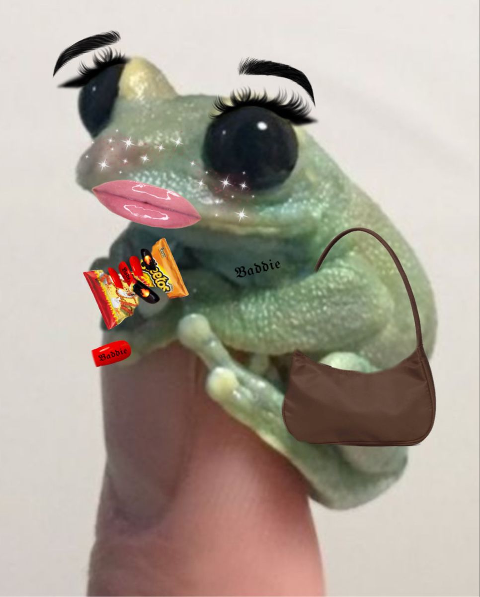 Frog picture, Cute frogs, Frog drawing