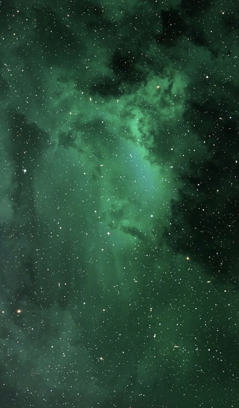green wallpaper. Dark green wallpaper
