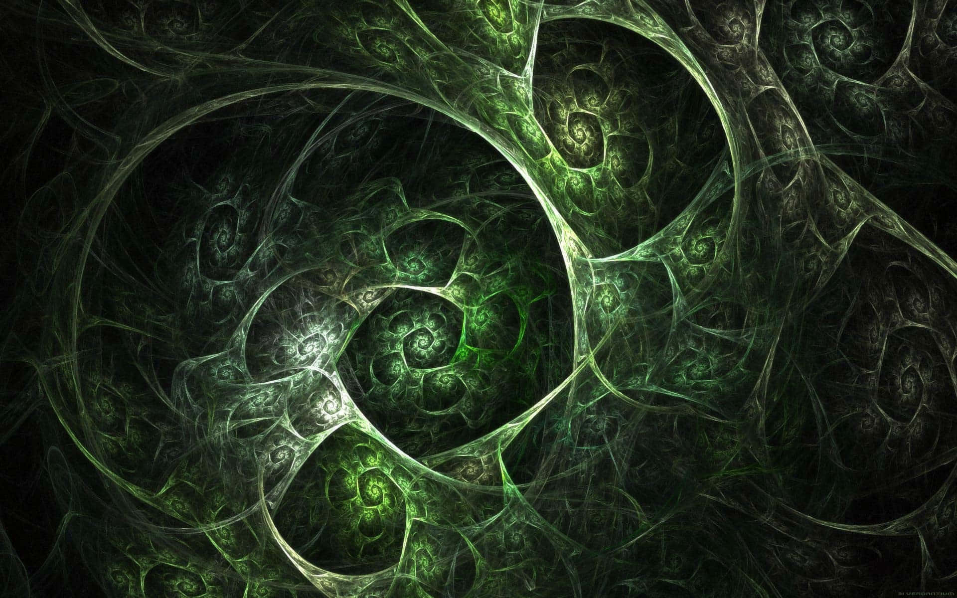 Dark Green Background