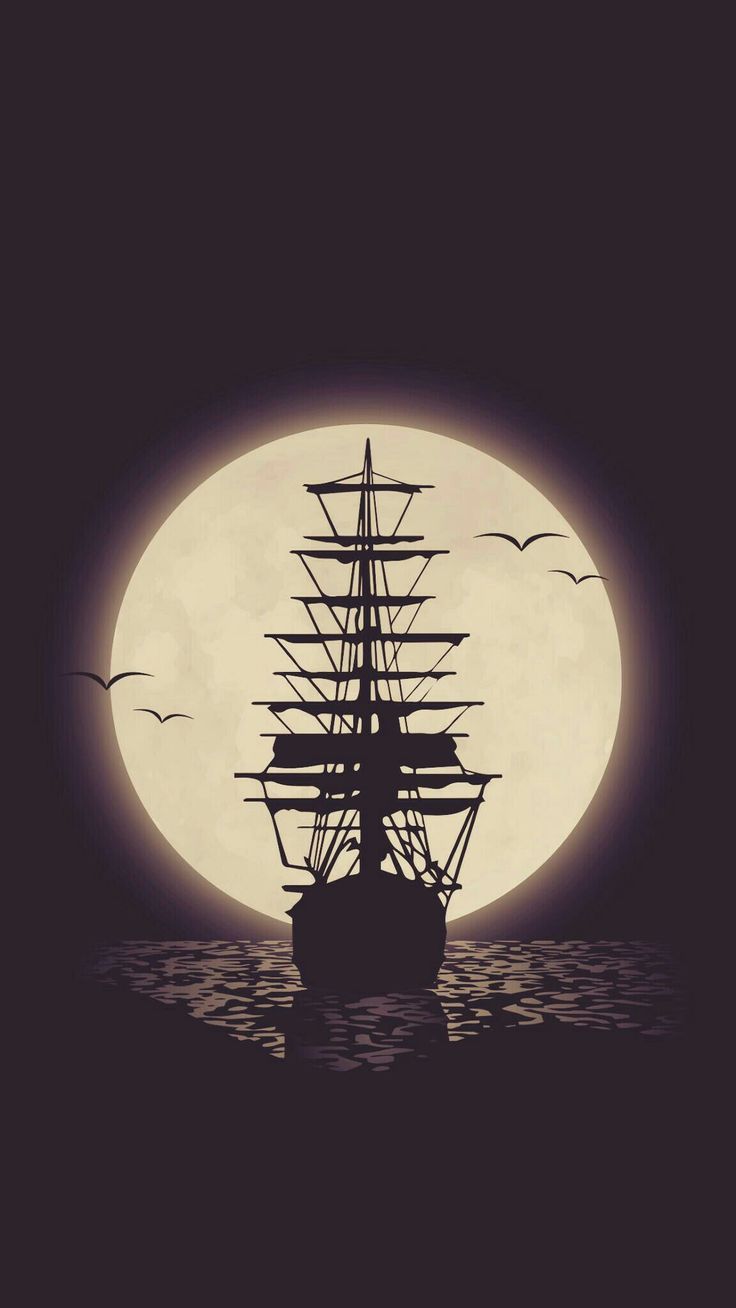 Ship #Birds #night #earlymorning