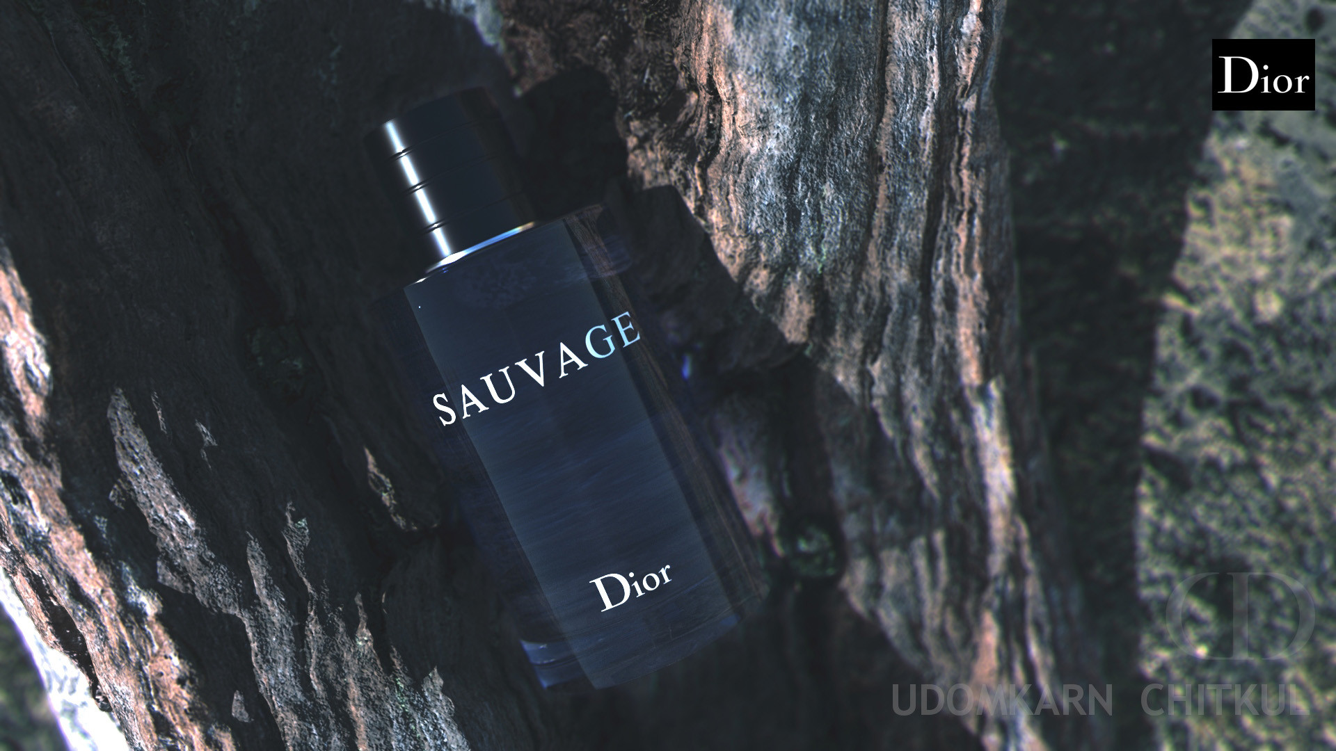 Udomkarn Chitkul Sauvage CGI