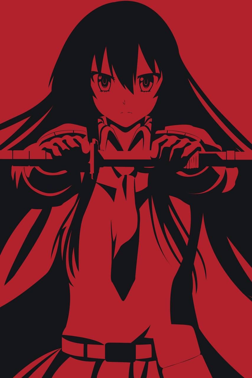 Download Akame ga Kill wallpaper