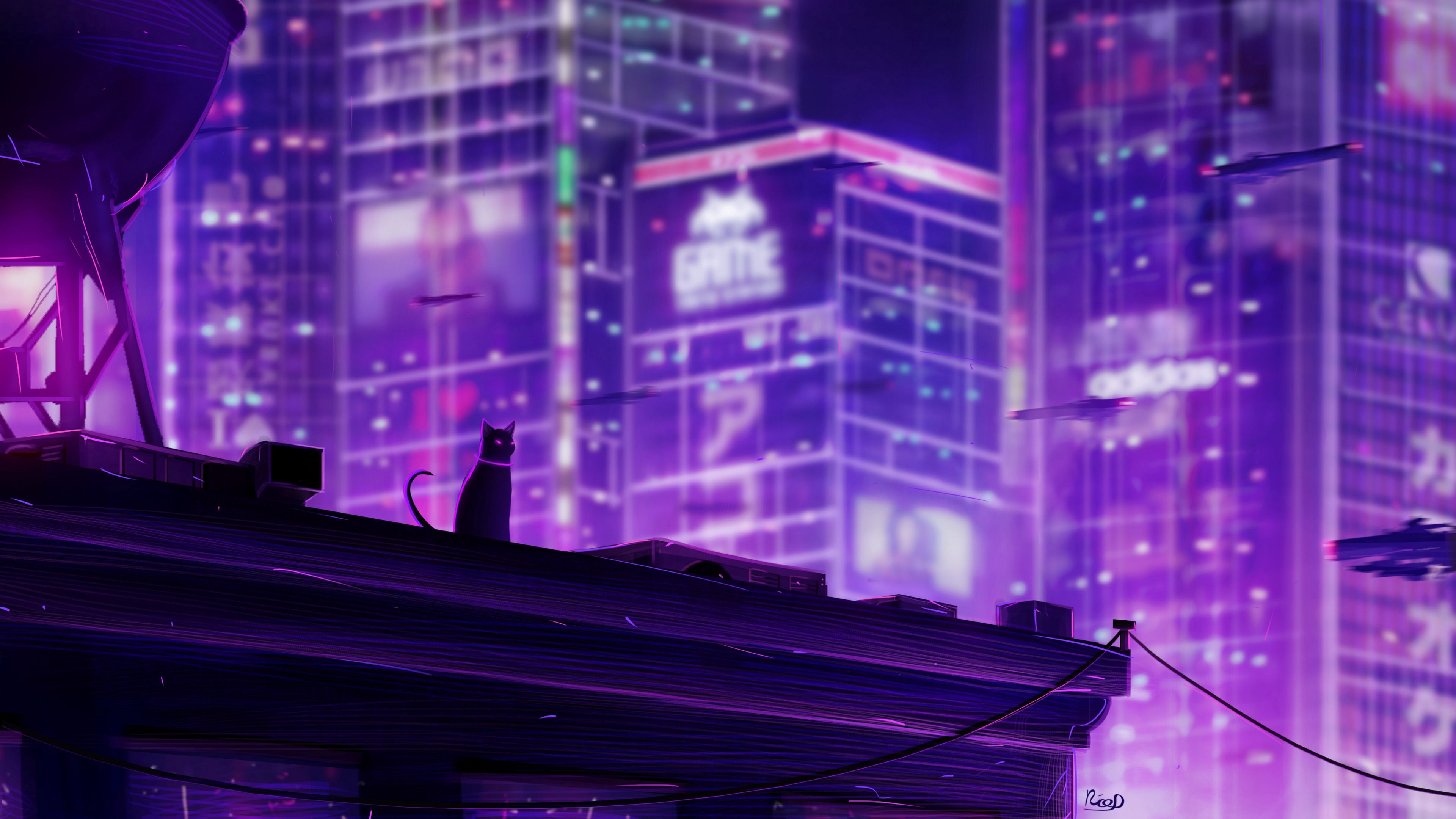 wallpaper 3840x2160 cat, roof, city