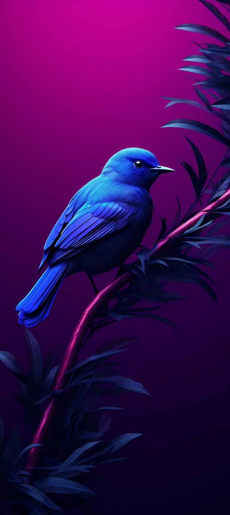 Bird Wallpaper