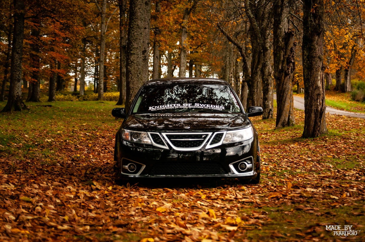 Saab 9 3 2, 0t Biopower SC Harry 2010