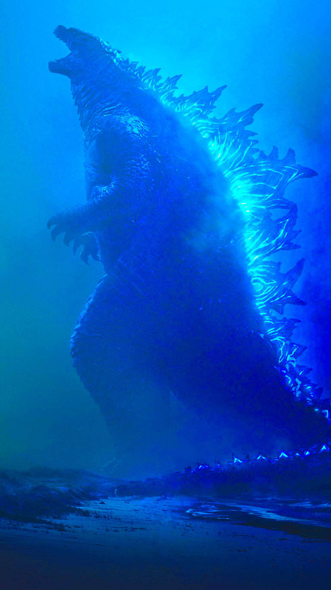 Godzilla King of The Monster Wallpaper
