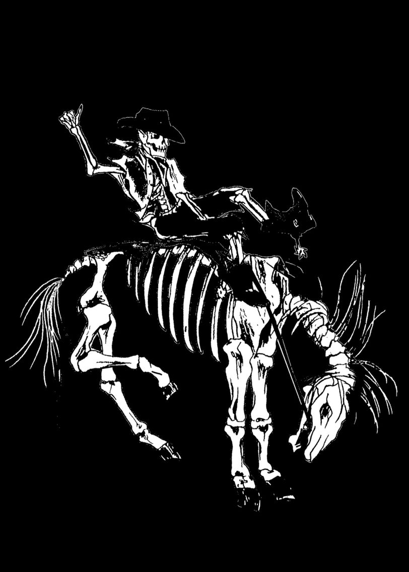 Horse & Rider Skeletons. Western